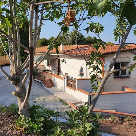 L'Opuntia Sul Lago Caccamo Bagian luar foto