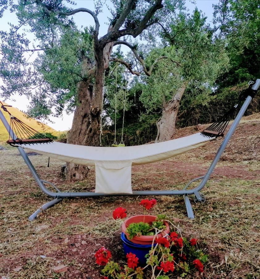 L'Opuntia Sul Lago Caccamo Bagian luar foto